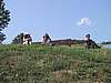 121-2159_IMG.JPG